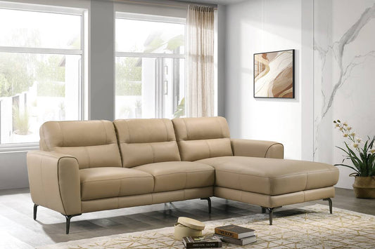 Sectional Sofa (F8426)